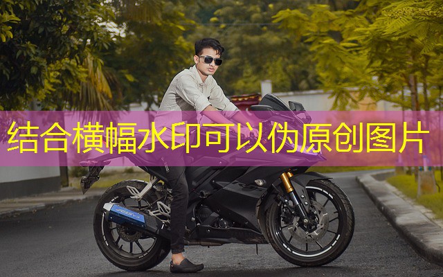 wazamba jogos de cassino