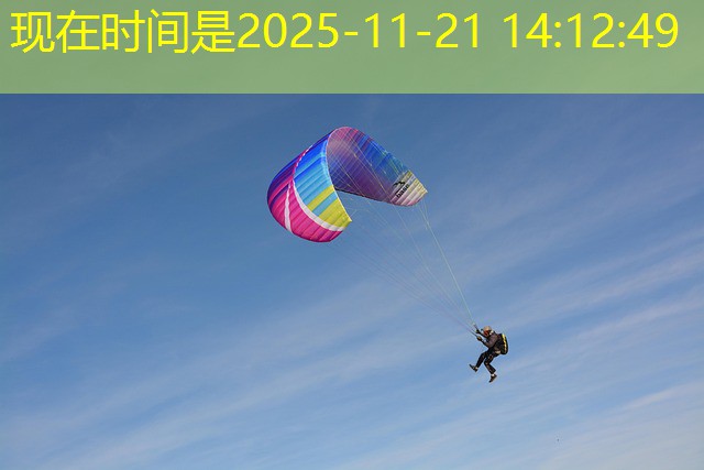 pesca feliz cassino jogo download