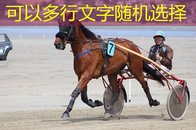 crivela jogos cassino crivela jogos cassino