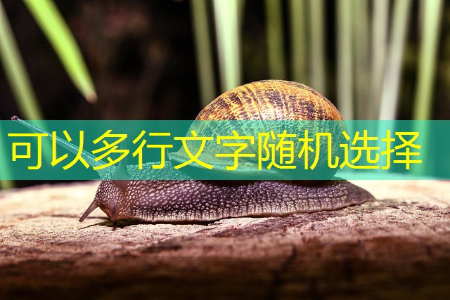 jogo de cassino com 7 letras