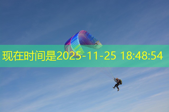 jogo do urso cassino jogo do urso cassino