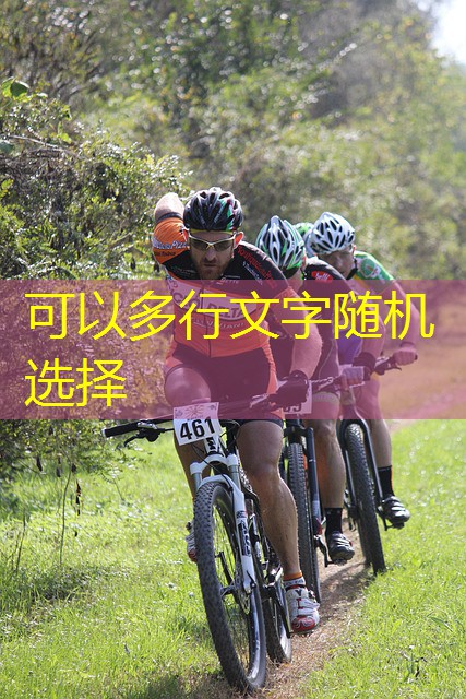 jogo do urso cassino jogo do urso cassino