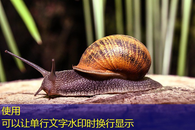 jogos novidsews nos cassinos