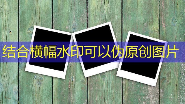 jogo do urso cassino jogo do urso cassino