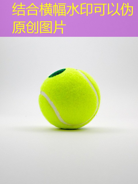 nome do jogo de dados com ficha de cassino