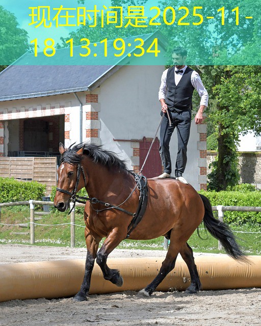 jogos realizados em cassino jogos realizados em cassino